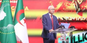 ضرورة الاستمرار في تنفيذ مبادرات الشباب الإفريقي للنهوض بأجندة 2063