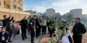 أحياء العاصمة تتزين بالمساحات الخضراء