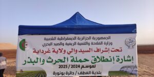 غرداية.. أكثر من 2000 هكتار لإنجاح شعبة زراعة الحبوب