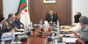 سعيود يترأس اجتماعا لدراسة الجوانب التنظيمية والإدارية لمؤسسات النقل البحري