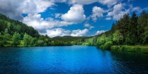 العلم والإيمان.. رئة الأرض