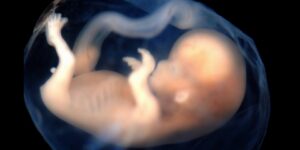 العلم والإيمان.. تحسس الأصوات عند الجنين