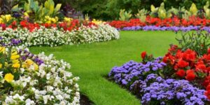 العلم والإيمان.. فَأَنْبَتْنَا بِهِ حَدَائِقَ ذَاتَ بَهْجَةٍ