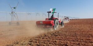 في إطار حملة الحرث والبذر لموسم 2025/2024 : تخصيص أكثر من 7500 هكتار لزراعة الحبوب بورقلة