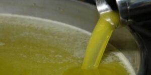 ميلة.. نحو تحقيق قفزة نوعية في إنتاج زيت الزيتون