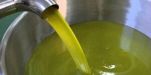 جيجل.. توقع إنتاج نحو 6 ملايين لتر من زيت الزيتون