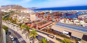 وهران: تصدير نحو مليون طن من المنتجات الفلاحية إلى عدة دول أوروبية وآسيوية وعربية