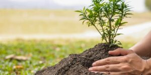 أعمال يأجر ثوابها العبد بعد موته