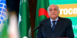 الجزائر تعمل بكل جد وأمانة لإعلاء صوت إفريقيا والدفاع عن قضاياها