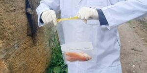 تحاليل مخبرية للتأكد من سلامة منتجات الصيد البحري بسيدي موسى