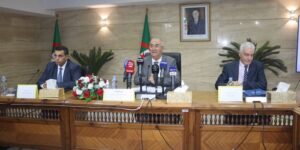 فايد يكشف عن إعداد ورقة طريق لتطوير النظام الإحصائي وتعزيز التنسيق بين القطاعات