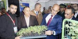 الصالون الدولي للفلاحة الصحراوية “أغرو سوف 2024” يستقطب 120 عارضا وطنيا وأجنبيا