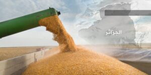 الجزائر تعزز احتياطاتها الغذائية عبر صفقات قمح صلب استراتيجية