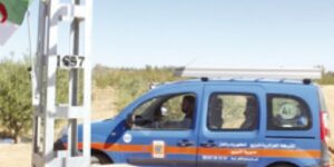 ورقلة.. تزويد 780 مستثمرة فلاحية بالكهرباء