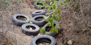 البليدة.. رفع أكثر من 13 ألف عجلة مطاطية من الوسط الطبيعي