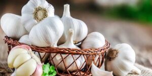 مضغ فص ثوم على الريق.. طريقة بسيطة لنتيجة مذهلة