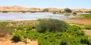 بحيرة تافقومت.. ثراء إيكولوجي وتنوع طبيعي ساحر