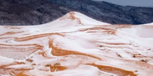 النعامة : تساقط أولى الثلوج لموسم الشتاء