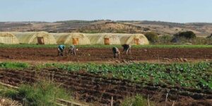 انطلاق عملية المراقبة البعدية للإحصاء العام للفلاحة عبر التراب الوطني