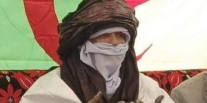 أمين عقال وأعيان طاسيلي ناجر.. الحاج البكري غومة يؤكد: لائحة البرلمان الأوروبي ضد الجزائر فاقدة لأي مصداقية