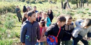 تحسيس تلاميذ جسر قسنطينة بجدوى الاعتناء بالغابات