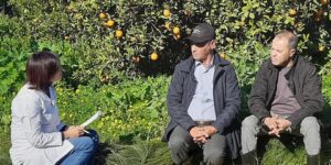 انتقاء مجموعة فلاحين لتصدير منتوجاتهم بالعاصمة