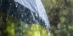 العلم والإيمان.. وَأَرْسَلْنَا السَّمَاء عَلَيْهِم مِّدْرَارًا