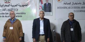 ندوة العلاقات الخارجية: اللجان التخصصية تواصل عملها في الصحراء الغربية