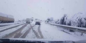 ثلوج وأمطار رعدية على عديد ولايات الوطن