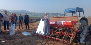 حوالي 2000 هكتار لإنتاج بذور الحبوب بتيزي وزو