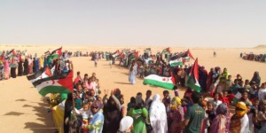 الذكرى الـ49 لتأسيس الجمهورية العربية الصحراوية الديمقراطية… مناسبة لتسليط الضوء على إنجازات الشعب الصحراوي ومستجدات قضيته العادلة