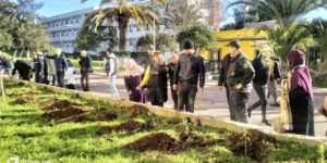 حملات تشجير ببلديتي واد السمار وبراقي