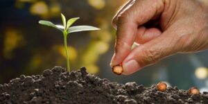 إني جاعل في الأرض خليفة