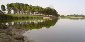 الحظيرة الحضرية لبحيرة سيدي محمد بن علي بسيدي بلعباس تستقطب الزوار