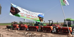 بومرداس.. امتيازات كبرى لفائدة المستثمرين في القطاع الفلاحي