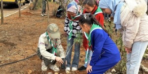 إطلاق مشروع وطني حول تشجير وإعادة تشجير السد الأخضر