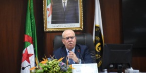 تسجيل انخفاض في حرائق الغابات في 2024 