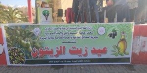 البويرة.. مشاركة استثنائية للمنتجين في العيد الجهوي لزيت الزيتون 