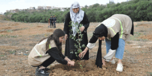 تيسمسيلت.. انطلاق عملية غرس ما يقارب أربعة آلاف شجيرة بثنية الحد