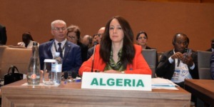 منصوري تشارك في الاجتماع التحضيري الخاص بإصلاح مجلس الأمن الدولي