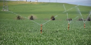 المديرية الجهوية للأملاك الوطنية لناحية الشلف : تقدم كبير في تسوية ورقمنة العقار الفلاحي