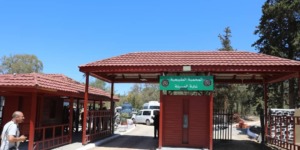 وهران: عملية تطهير الغابات من آفة “سكوليت”