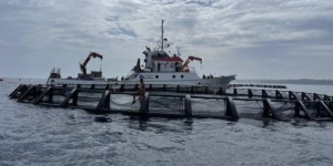 8 أقفاص جديدة لتربية المائيات البحرية ببني حواء 