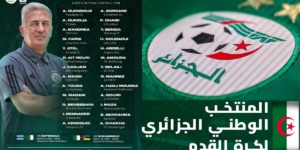 تعداد مباراتي بوتسوانا والموزمبيق.. بلايلي الاستثناء وبيتكوفيتش يراهن على الاستقرار