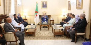 قوجيل يستقبل مجموعة من أعضاء “السينا” المعنيين بالتجديد الجزئي في الولايات العشر الجديدة