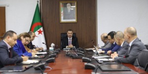 تعليمات باستعجال إنشاء شركة للنقل الجوي الداخلي