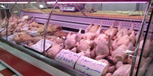 تندوف.. تزويد الأسواق بحوالي 150 طن من اللحوم البيضاء