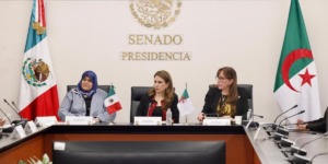 الجزائر والمكسيك تؤكدان التزامهما بدعم حق الشعوب في تقرير المصير