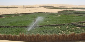 إيليزي.. عقود إمتياز في إطار الإستصلاح الفلاحي لفائدة الفلاحين