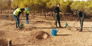 إبراز الجهود المبذولة للحفاظ على الثروة الغابية بغرب البلاد 